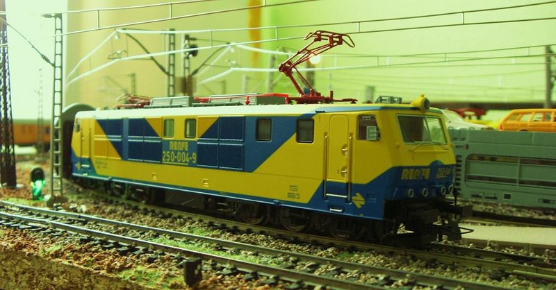 CIMG7505.JPG