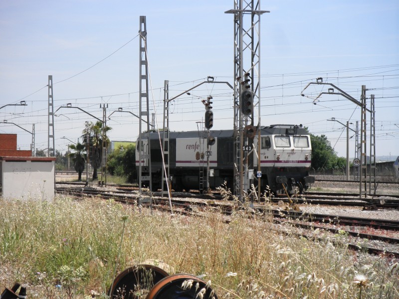 P4291339.JPG