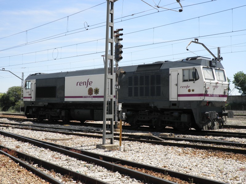 P4291342.JPG