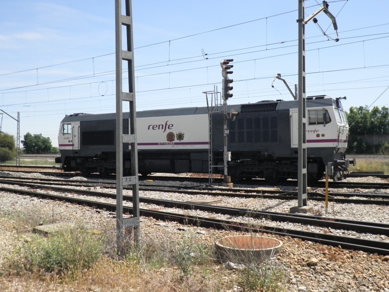 P4291343.JPG