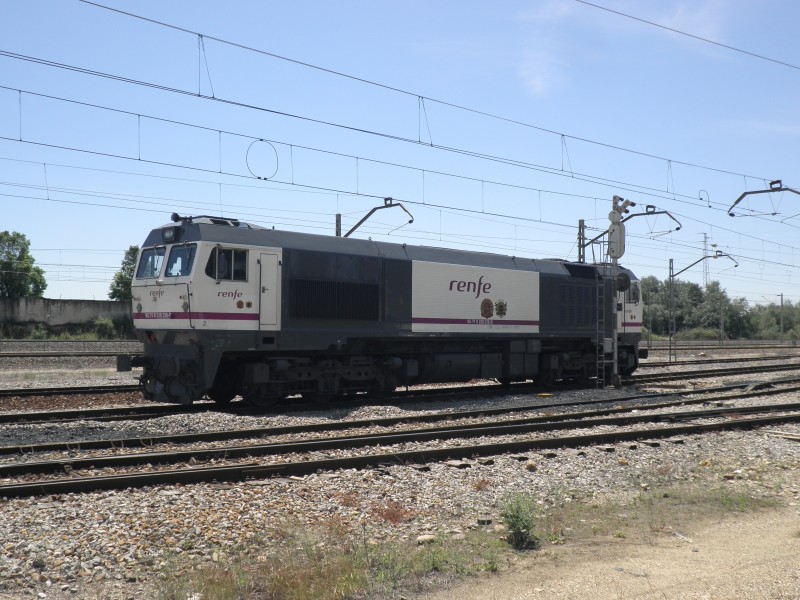 P4291344.JPG