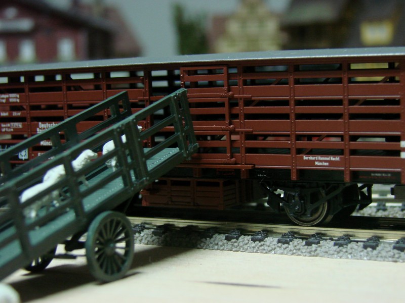 DSC09796.JPG
