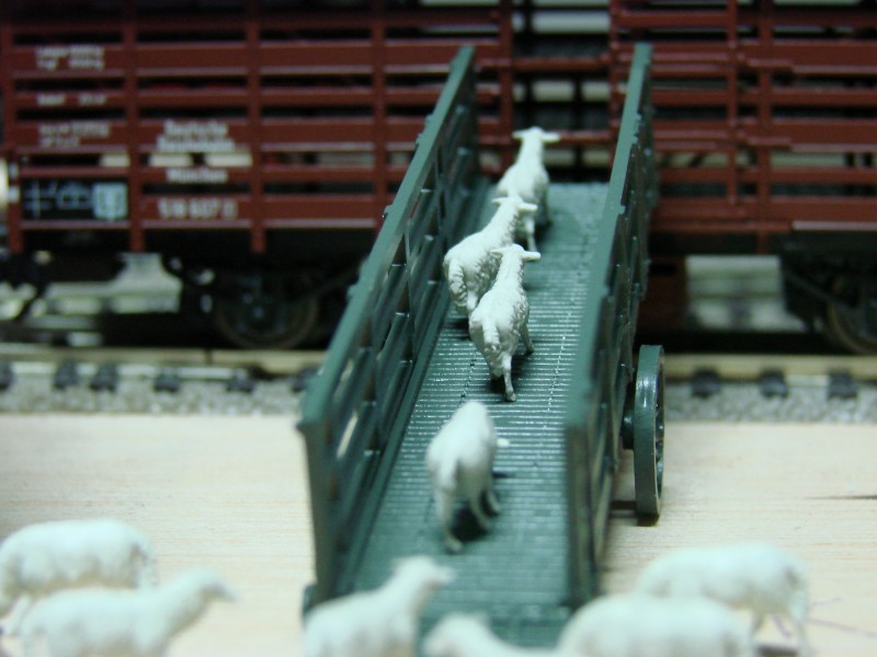 DSC09798.JPG