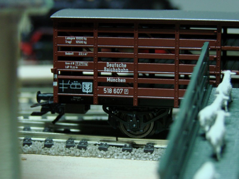 DSC09799.JPG