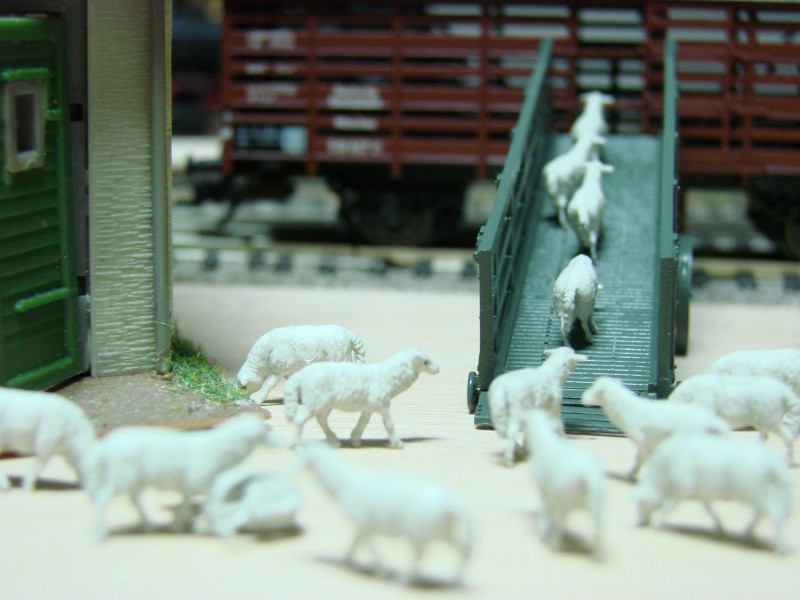 DSC09800.JPG