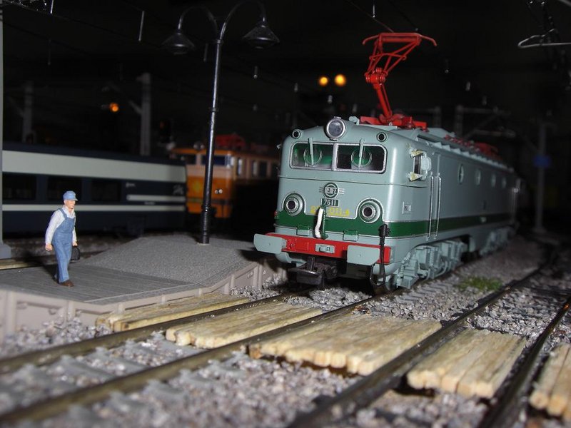 CIMG7521.JPG