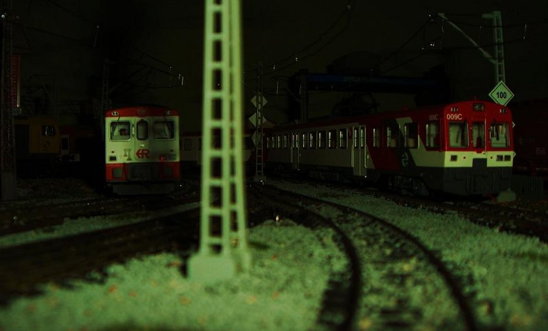 CIMG7529.JPG