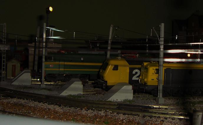 CIMG7547.JPG