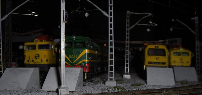 CIMG7555.JPG