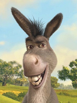 asno-shrek-1024x768.jpg