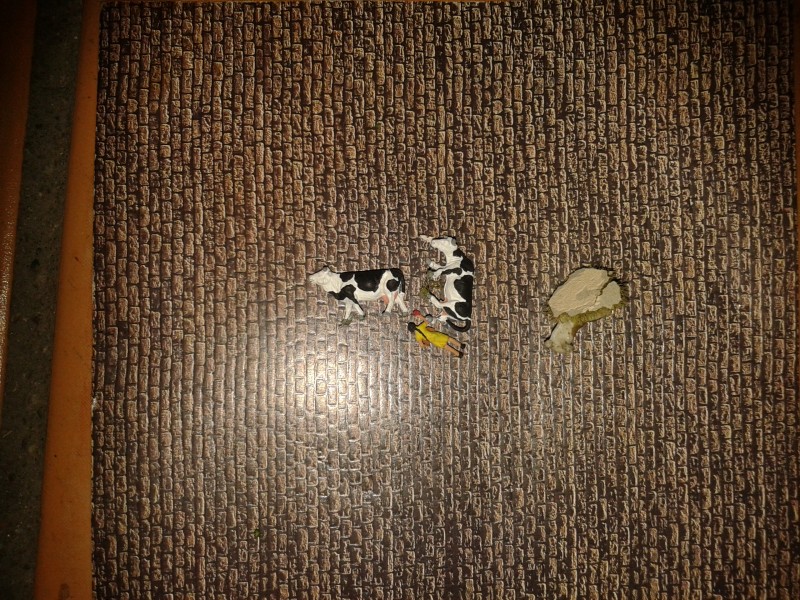 20140426_182837.jpg