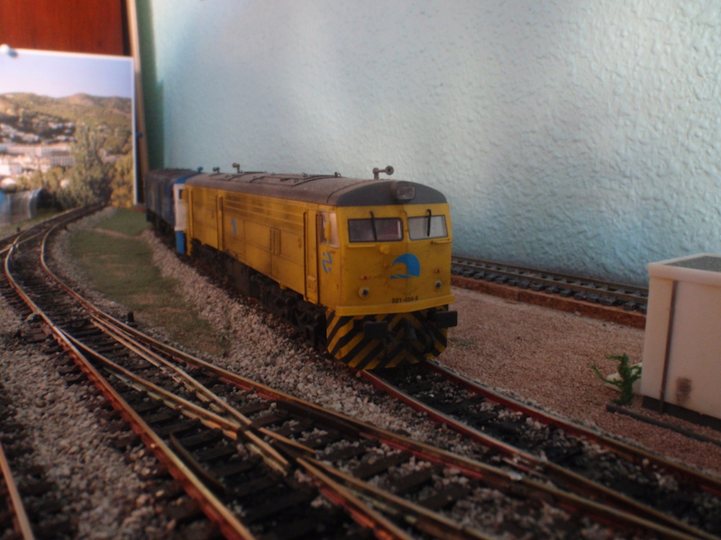 P5300962.JPG