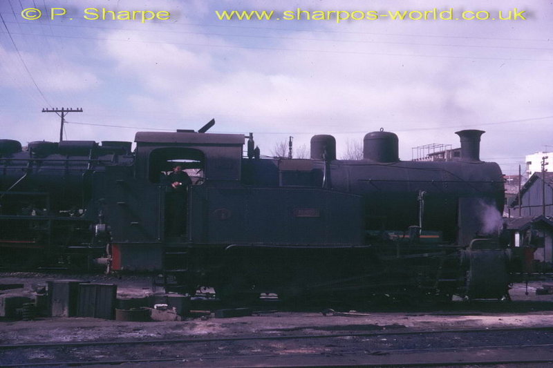 sp028.jpg