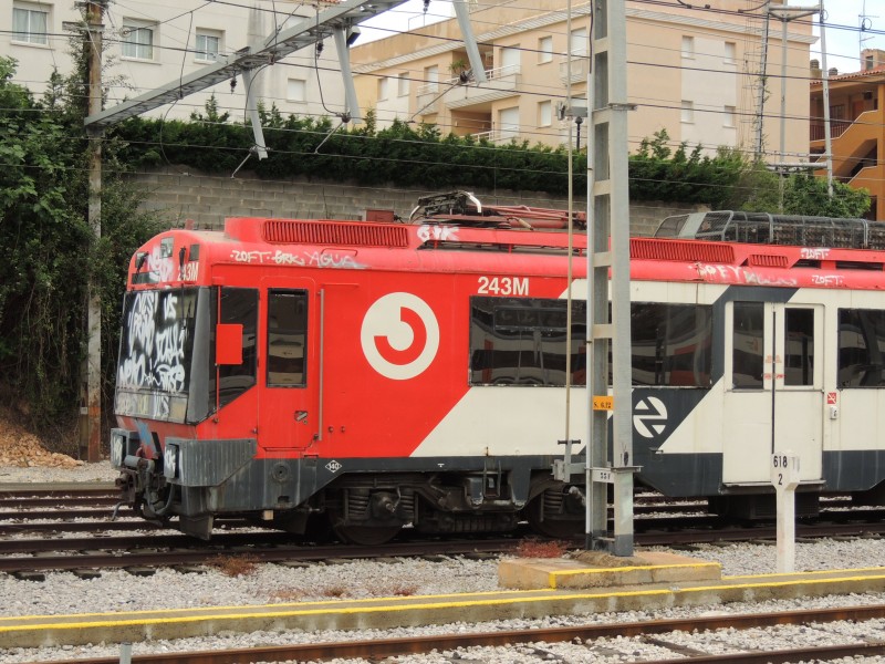 DSCN9385.JPG