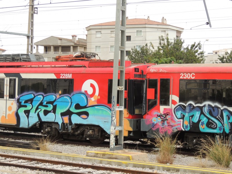 DSCN9386.JPG