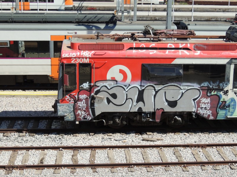 DSCN9439.JPG