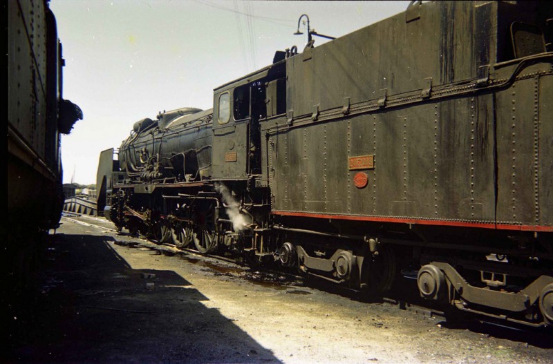 594.jpg