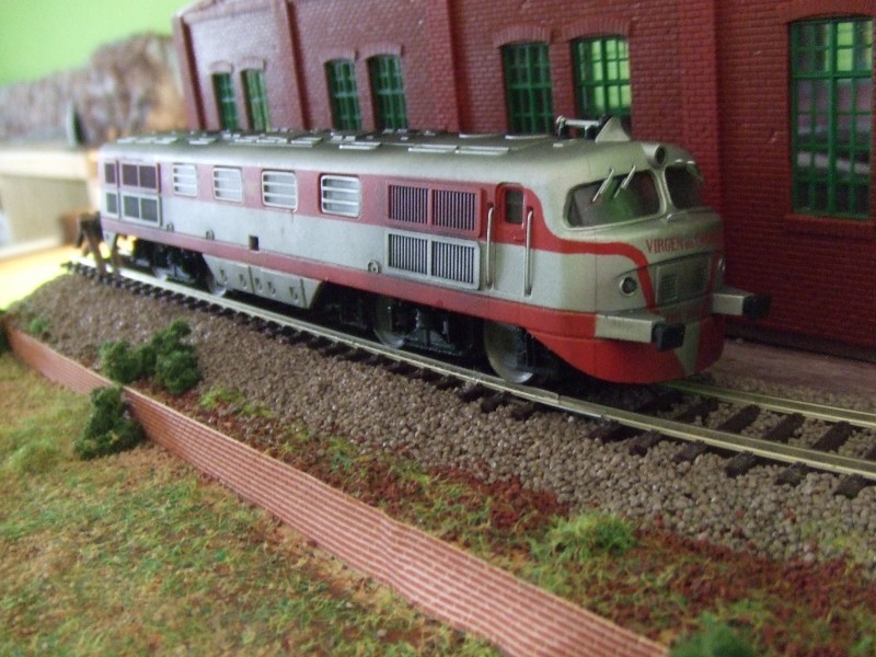 DSCF5663.JPG