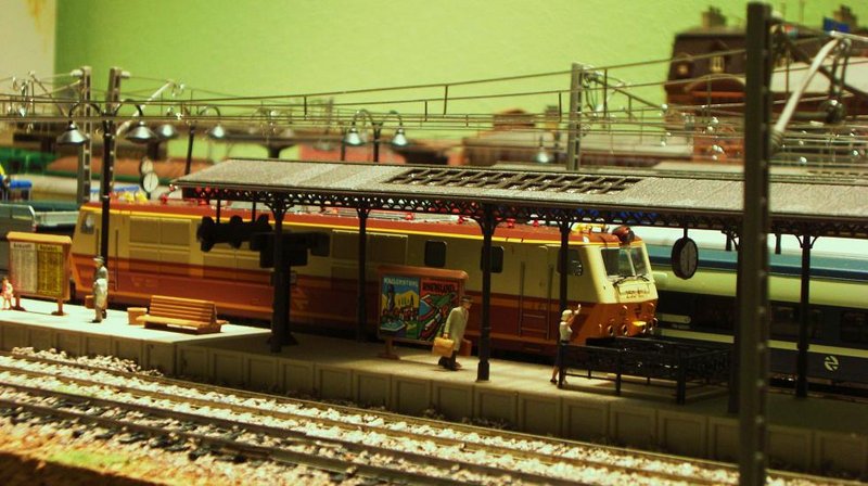 CIMG7608.JPG