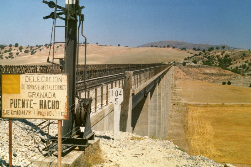 hacho 1.jpg