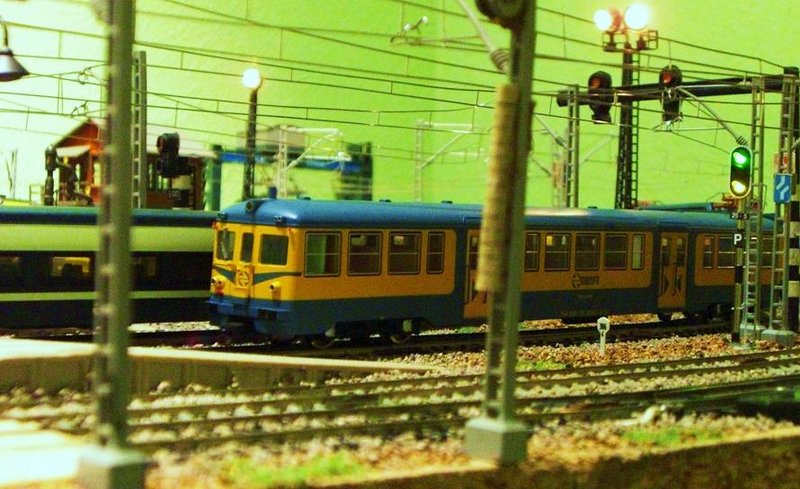 CIMG7609.JPG