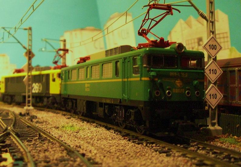 CIMG7601.JPG