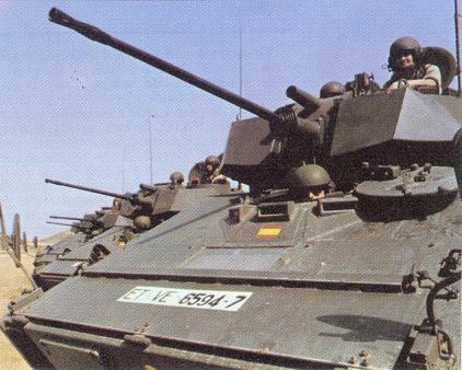 Anfibio bmr 3.jpg