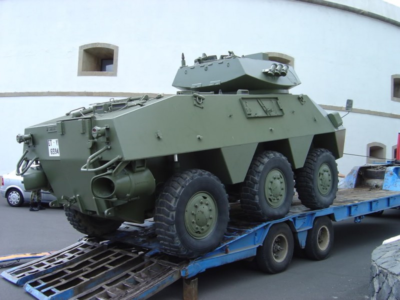 Anfibio bmr 5.jpg