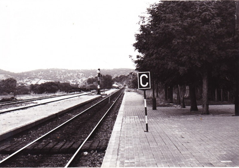 anden estación.jpg
