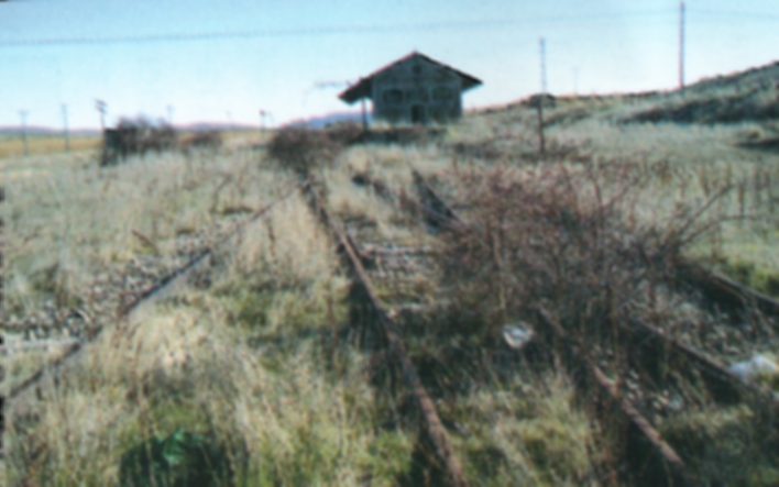 soria02.jpg