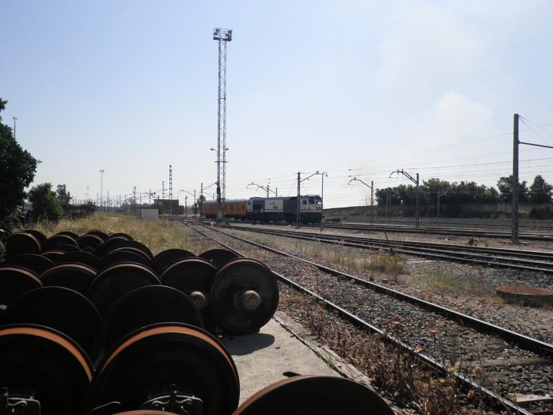 P6271438.JPG