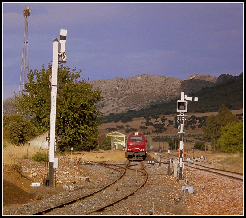 CIMG7503.JPG