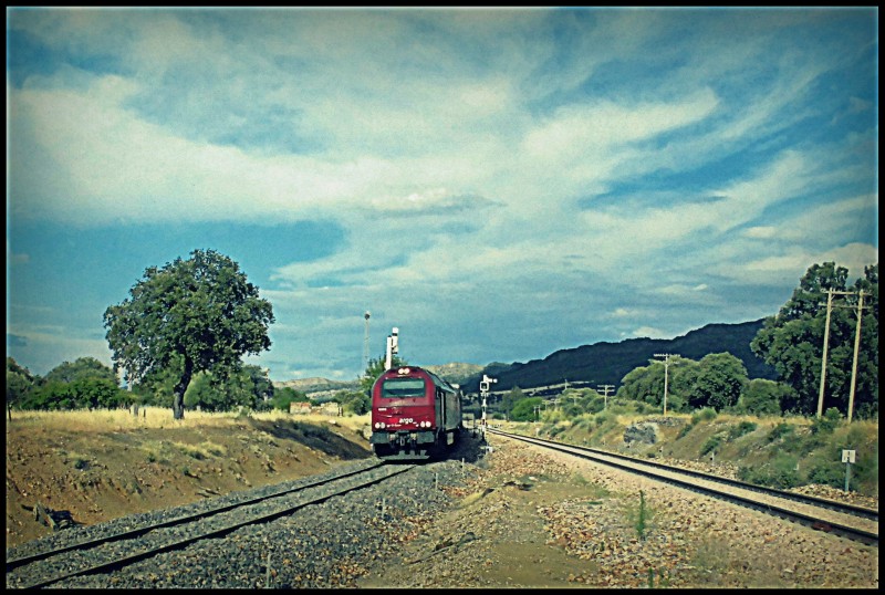 CIMG7505.JPG