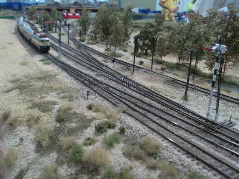 Imagen815.jpg
