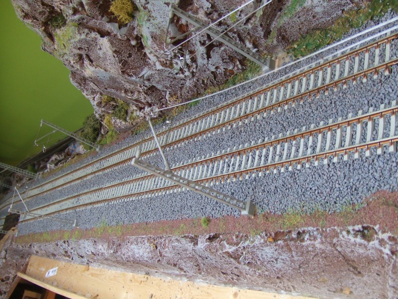 DSCF5683.JPG