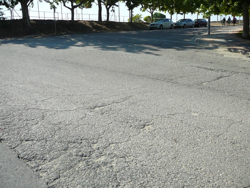 P1100198.JPG