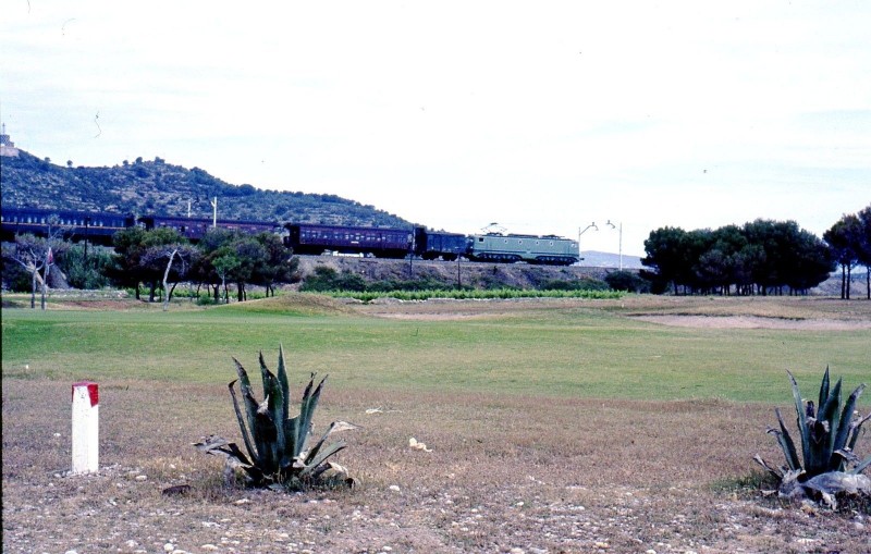 648.jpg
