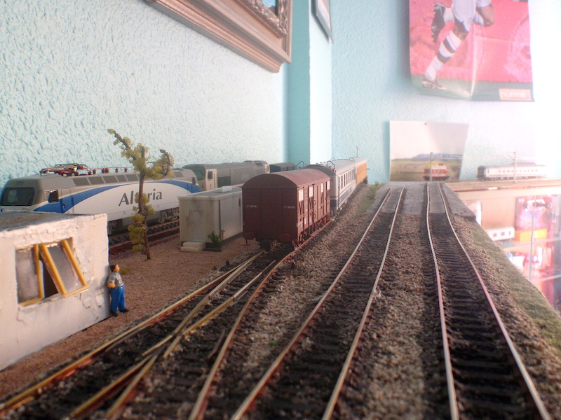 P7211477.JPG