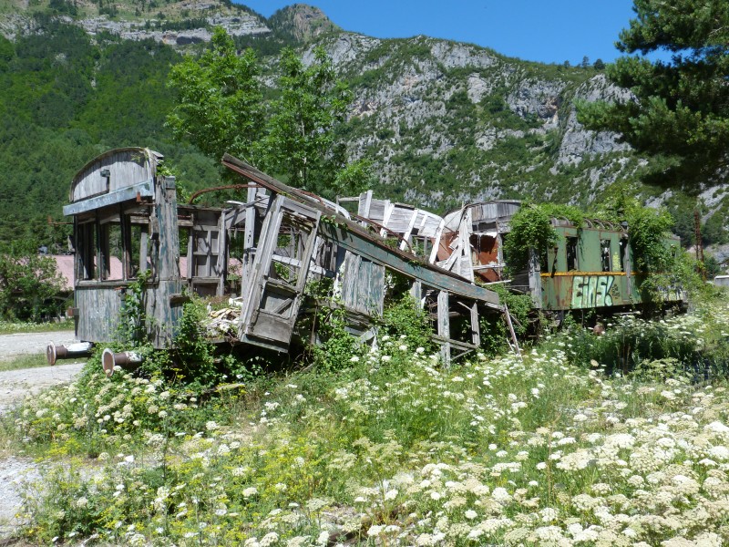 P1030563.JPG