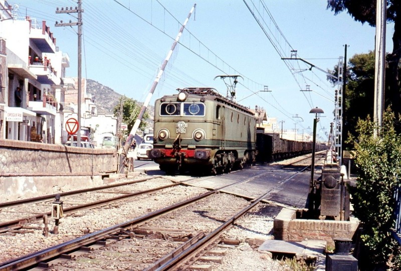 16355.jpg