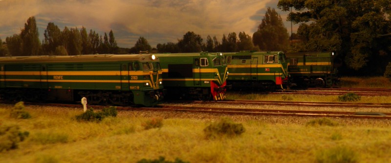 P6285757.jpg