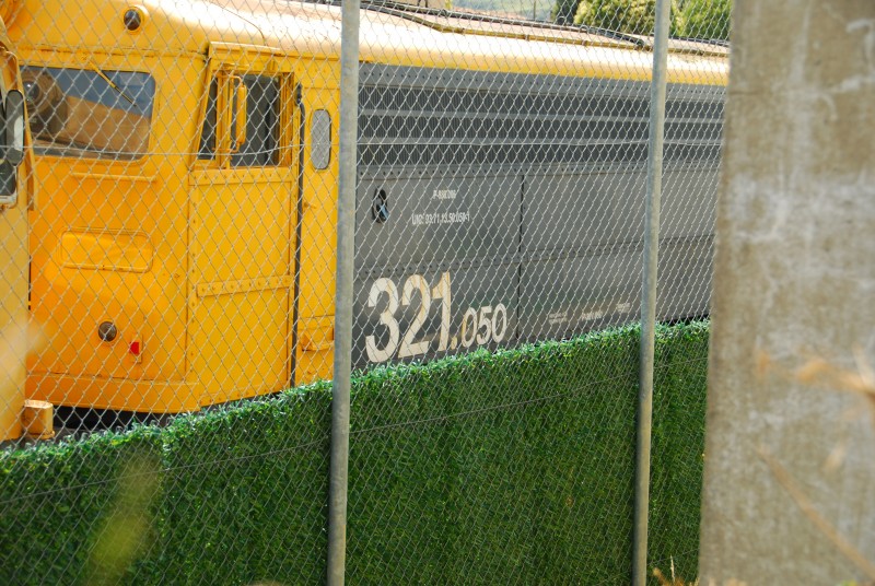 DSC_6793.JPG