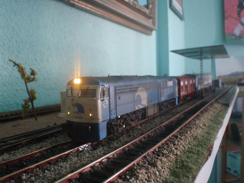 P8031483.JPG
