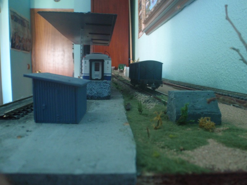P8031485.JPG