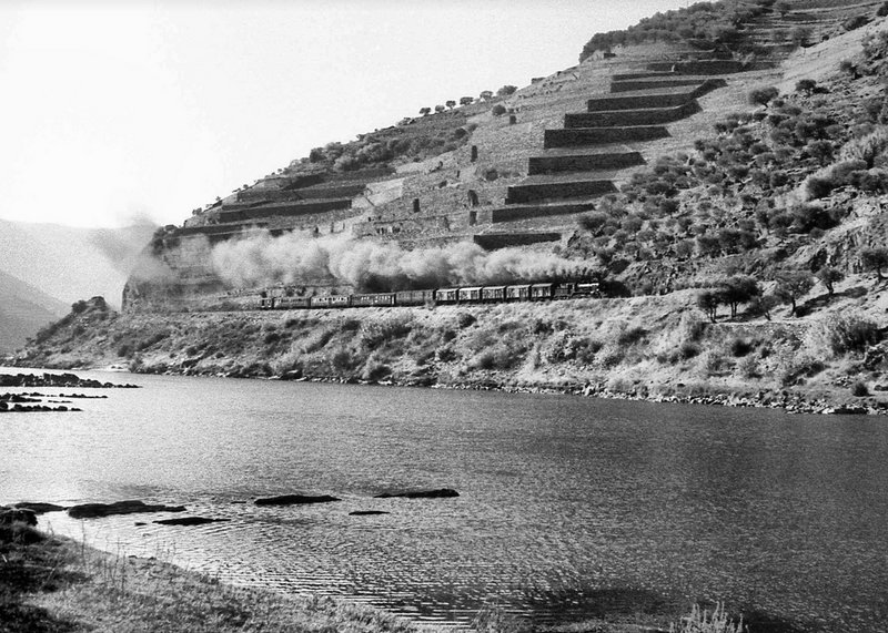 TREN MIXTO CERCANIAS DE REGUA DESCENDIENDO DESDE BARCA.jpg