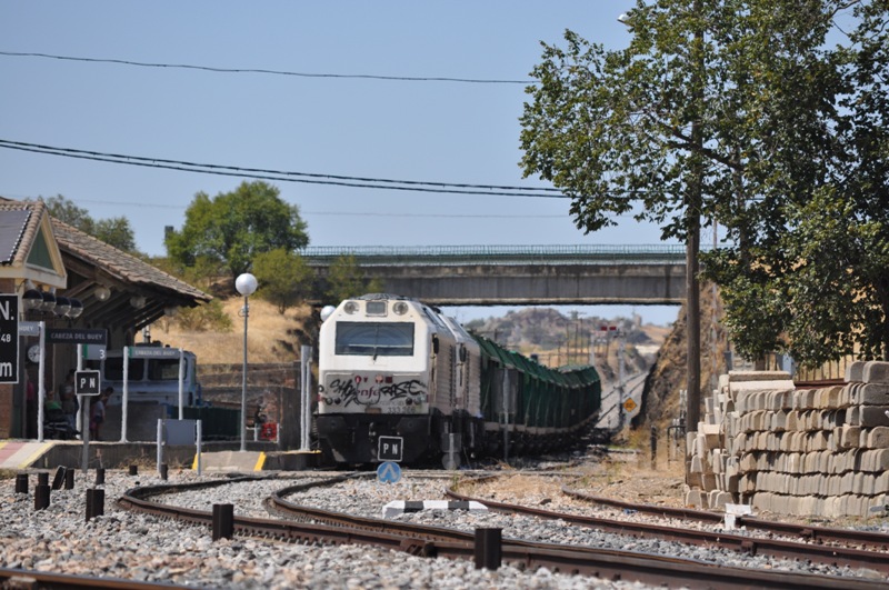 83327 Cabeza del Buey 14-08-2014_01.JPG