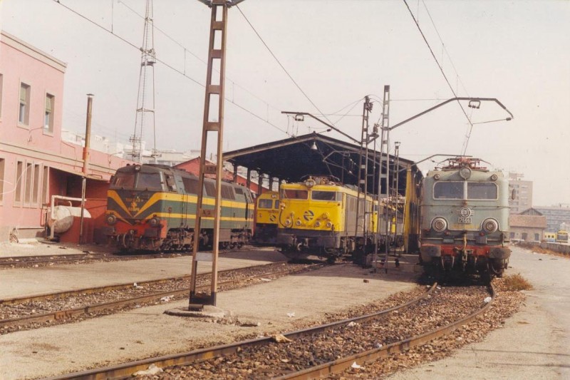 0346-N 276-066 bien acompañada en la reserva de Valencia-Nord. 07-1993..jpg