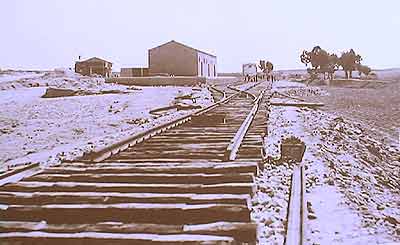 hinojosa.jpg