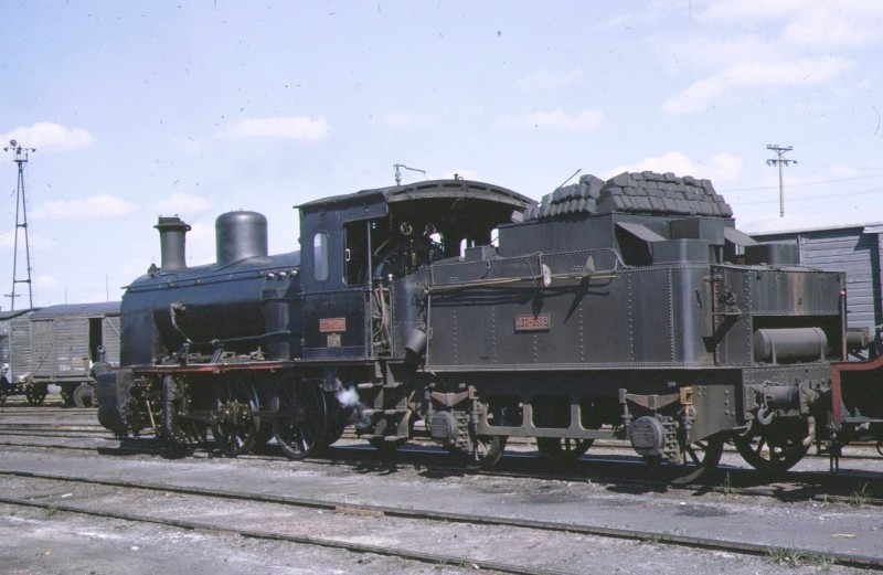 15519.jpg