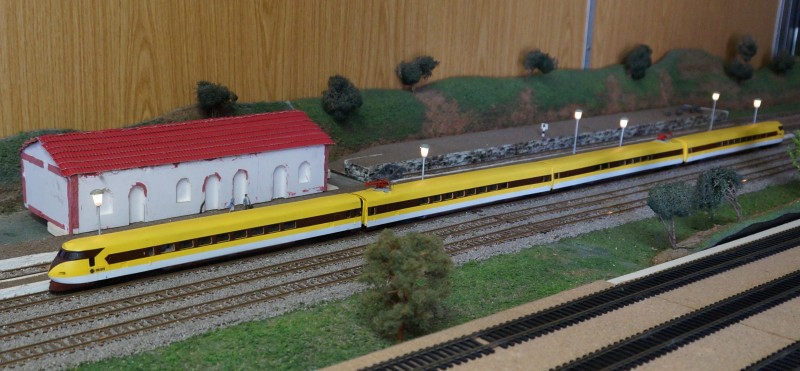 443 platanito.JPG